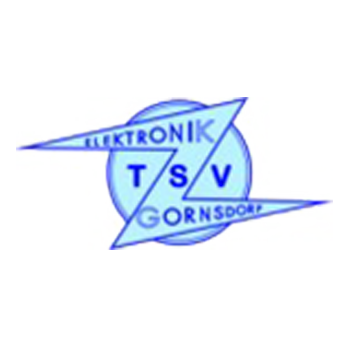 Gornsdorf-TSV-Elektronik.png 